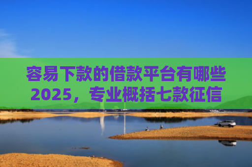 容易下款的借款平台有哪些2025，专业概括七款征信花也能下款平台
