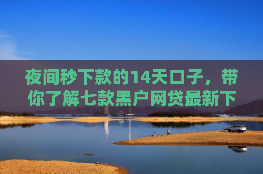 夜间秒下款的14天口子，带你了解七款黑户网贷最新下款口子