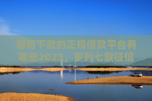 容易下款的正规借款平台有哪些2025，罗列七款征信花小额平台能下款吗