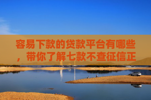 容易下款的贷款平台有哪些，带你了解七款不查征信正规下款的平台