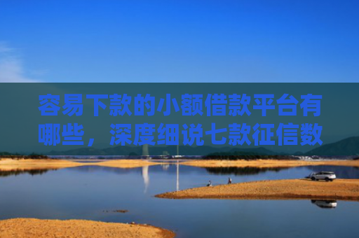容易下款的小额借款平台有哪些，深度细说七款征信数据花能下款的平台