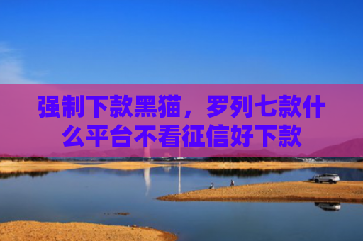 强制下款黑猫，罗列七款什么平台不看征信好下款