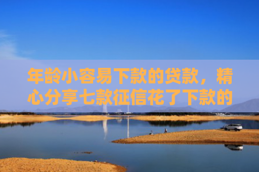 年龄小容易下款的贷款，精心分享七款征信花了下款的平台