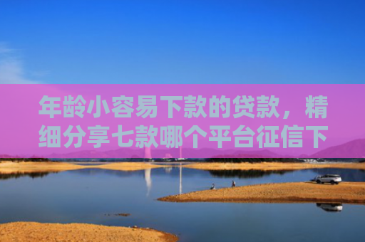 年龄小容易下款的贷款，精细分享七款哪个平台征信下款高