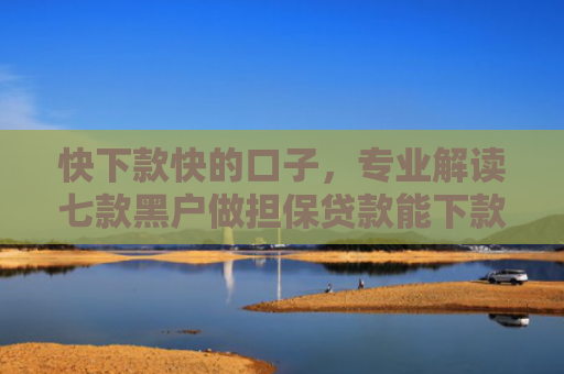 快下款快的口子，专业解读七款黑户做担保贷款能下款吗