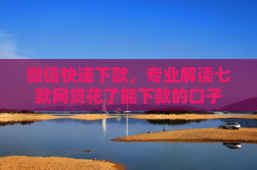 微信快速下款，专业解读七款网贷花了能下款的口子