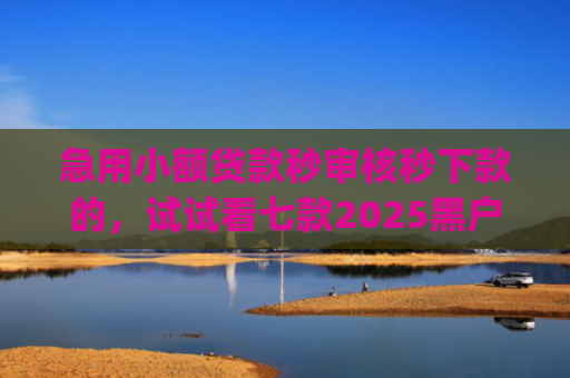 急用小额贷款秒审核秒下款的，试试看七款2025黑户易下款的网贷app