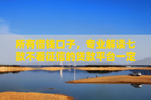所有借钱口子，专业解读七款不看征信的贷款平台一定能下款