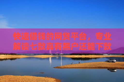 快速借钱的网贷平台，专业解读七款真有黑户还能下款的贷款