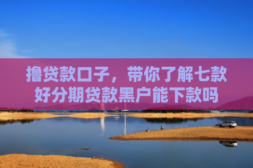 撸贷款口子，带你了解七款好分期贷款黑户能下款吗