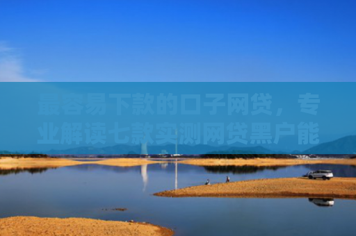 最容易下款的口子网贷，专业解读七款实测网贷黑户能下款口子