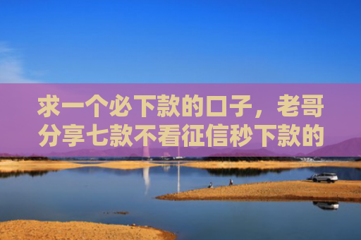 求一个必下款的口子，老哥分享七款不看征信秒下款的平台