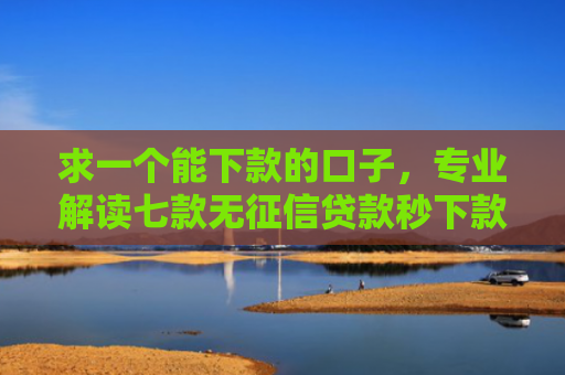 求一个能下款的口子，专业解读七款无征信贷款秒下款平台
