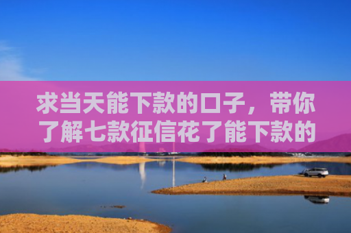 求当天能下款的口子，带你了解七款征信花了能下款的平台