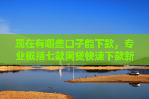 现在有哪些口子能下款，专业概括七款网贷快速下款新口子