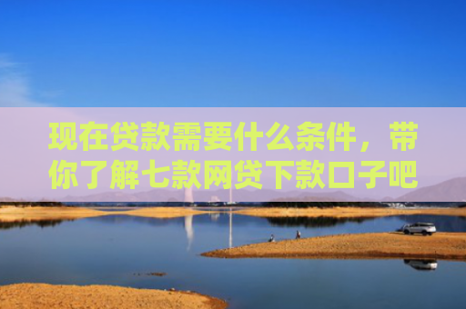 现在贷款需要什么条件，带你了解七款网贷下款口子吧