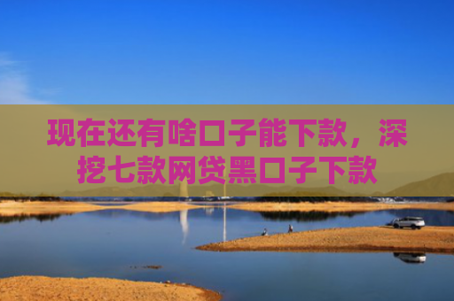 现在还有啥口子能下款，深挖七款网贷黑口子下款