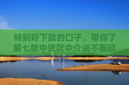 特别好下款的口子，带你了解七款中贷款中介说不看征信直接下款