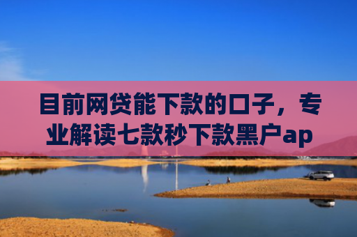 目前网贷能下款的口子，专业解读七款秒下款黑户app6