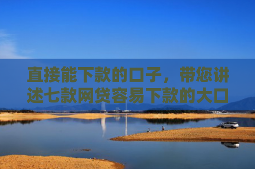 直接能下款的口子，带您讲述七款网贷容易下款的大口子