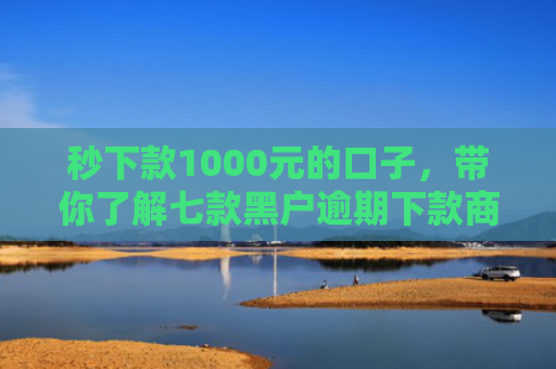秒下款1000元的口子，带你了解七款黑户逾期下款商城APP