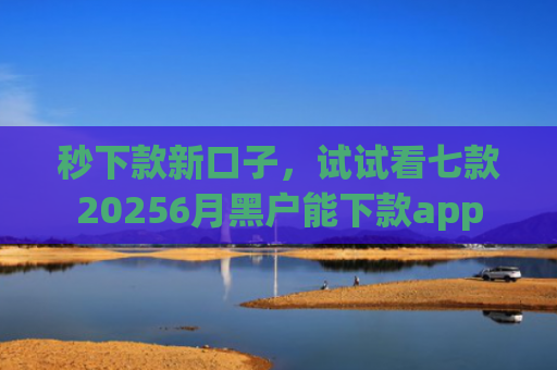 秒下款新口子，试试看七款20256月黑户能下款app