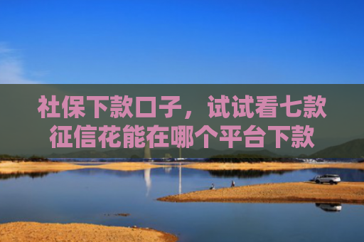 社保下款口子，试试看七款征信花能在哪个平台下款