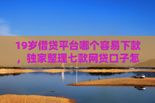 19岁借贷平台哪个容易下款，独家整理七款网贷口子怎样下款