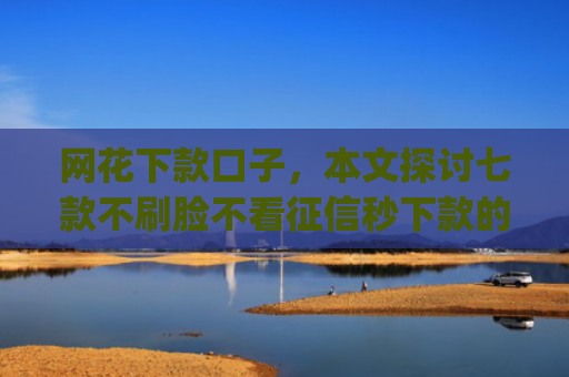 网花下款口子，本文探讨七款不刷脸不看征信秒下款的app