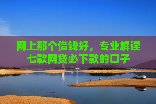 网上那个借钱好，专业解读七款网贷必下款的口子