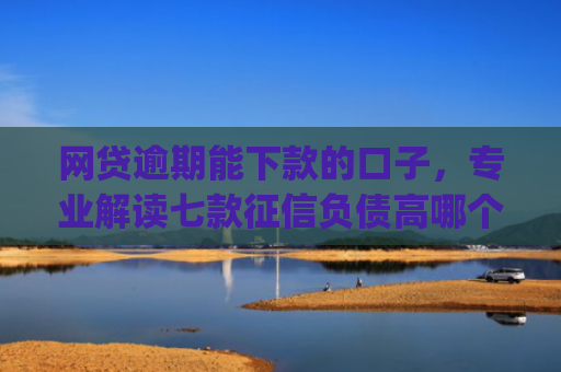 网贷逾期能下款的口子，专业解读七款征信负债高哪个平台好下款app