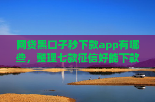 网贷黑口子秒下款app有哪些，整理七款征信好能下款的app