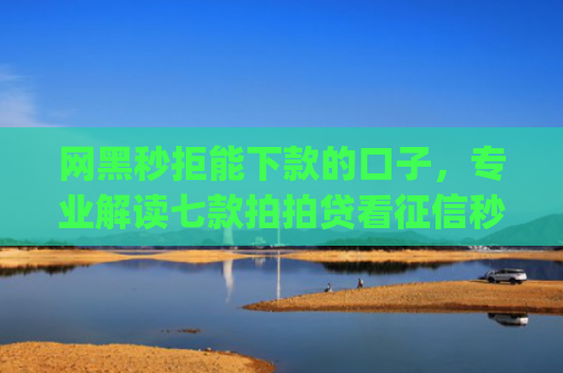 网黑秒拒能下款的口子，专业解读七款拍拍贷看征信秒下款的app