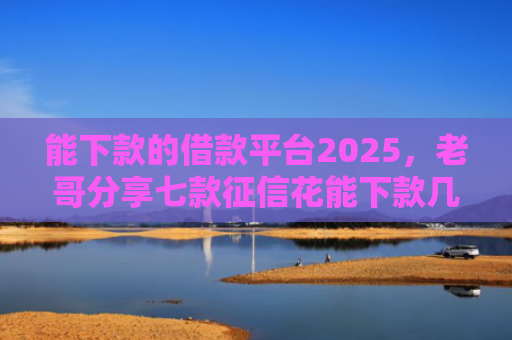 能下款的借款平台2025，老哥分享七款征信花能下款几百的网贷