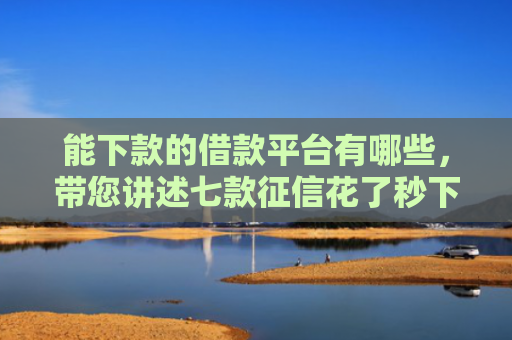 能下款的借款平台有哪些，带您讲述七款征信花了秒下款网贷能通过吗