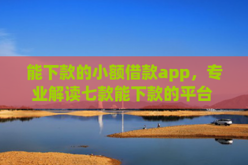 能下款的小额借款app，专业解读七款能下款的平台 征信花了