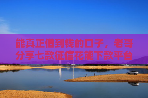 能真正借到钱的口子，老哥分享七款征信花能下款平台