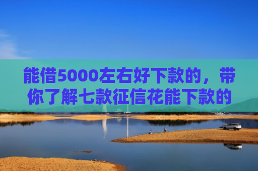 能借5000左右好下款的，带你了解七款征信花能下款的大额网贷