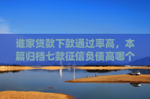 谁家贷款下款通过率高，本篇归档七款征信负债高哪个平台好下款app