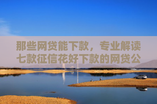 那些网贷能下款，专业解读七款征信花好下款的网贷公司