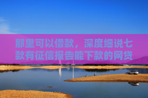 那里可以借款，深度细说七款有征信报告能下款的网贷