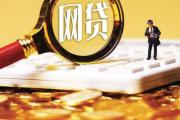 信用卡可以还网贷吗操作风险详解(宜普金融贷款平台详解：资质、产品与用户评价全解析)